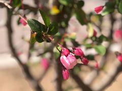 -钟山体育运动公园