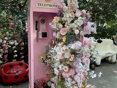 -合肥滨湖国家森林公园