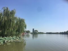 -白洋淀景区