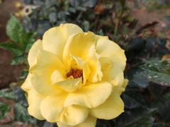 -人民公园(罗湖区)