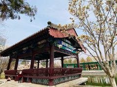 -西海子公园