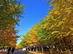 -辽宁大学(崇山校区)