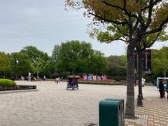 -野生动物园-停车场