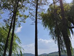 -渤公岛生态公园
