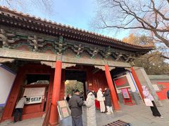-北京国子监胡同