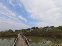 -杏花村文化旅游区