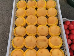 -岳各庄批发市场(西四环中路店)