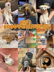 -Zoolung Zoolung动物主题公园(海信广场店)