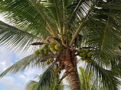 -三亚海棠湾万丽度假酒店