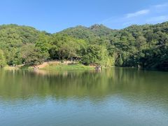 -广州市白云山风景名胜区