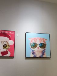 -洗脸猫·洗脸吧