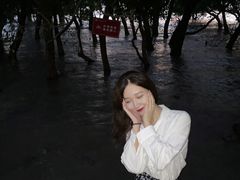 -宝安西湾红树林湿地公园