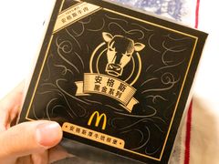 -麦当劳(武汉火车站店)