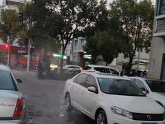 -利美特•威固V-KOOL双膜(杨浦授权店)