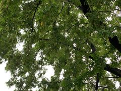 -侵华日军南京大屠杀遇难同胞纪念馆