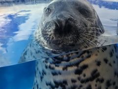 -成都浩海立方海洋公园
