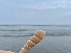 -东海岛旅游度假区