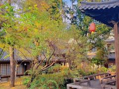 -唐风温泉