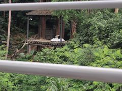 -广州长隆飞鸟乐园