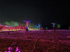 -国际非物质文化遗产博览园