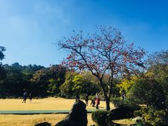 -汉拿树木园