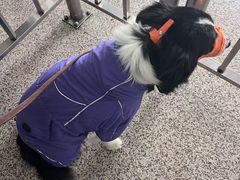 -朱家尖蜈蚣峙码头