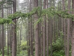 -驼梁风景区