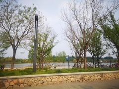 -东郊湿地公园