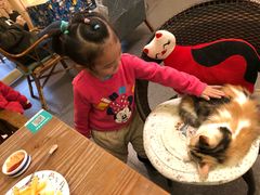 -猫色咖啡·猫咖