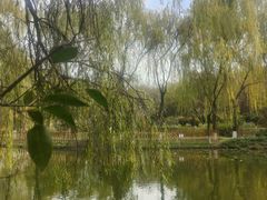 -城市运动公园(未央区)