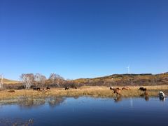 -塞罕坝国家级自然保护区