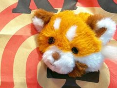 -肯德基(建华店)