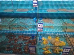 -双海酒店·非遗渔家菜(南戴河店)