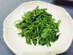 -粗茶淡饭•陕菜•家常菜