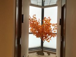 -松和日式美容整骨