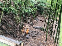 -夏霖九天银瀑风景区