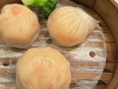 -新雅粤菜馆(南京东路店)