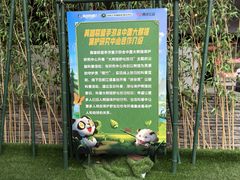 -都江堰中华大熊猫苑