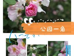 -贵阳市花溪国家城市湿地公园