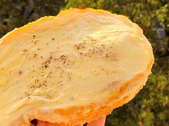 榴莲冰激凌口感-木子木水日式烫面包(世界城光谷店)