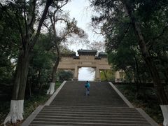 -灵谷景区