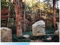 -敬亭山风景名胜区