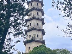 -江心屿景区