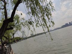 -无锡蠡湖国家湿地公园-蠡园