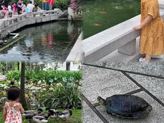 -惠州西湖丰渚园