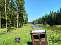 -黄海国家森林公园