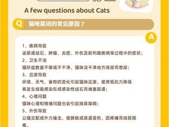 -lincat·猫舍(广州店)