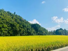 -贵阳市花溪国家城市湿地公园