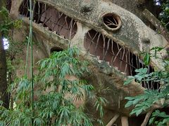 -天门沟九州驿站树上汤泉