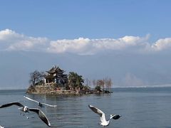 -小普陀